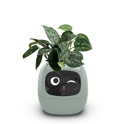 Robot Guidance Smart Plant Pot Interaction Automatic Water