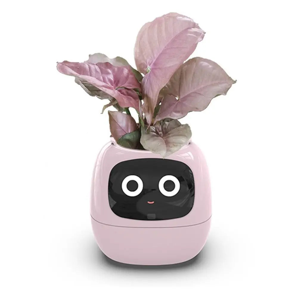 Robot Guidance Smart Plant Pot Interaction Automatic Water