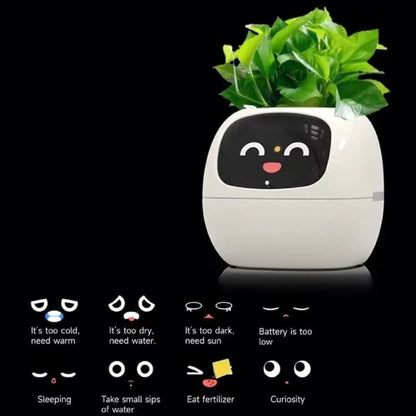 Robot Guidance Smart Plant Pot Interaction Automatic Water