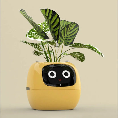 Robot Guidance Smart Plant Pot Interaction Automatic Water