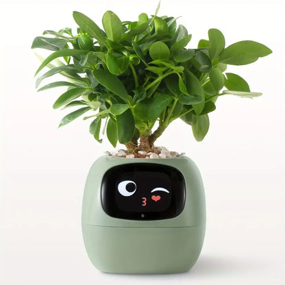 Robot Guidance Smart Plant Pot Interaction Automatic Water