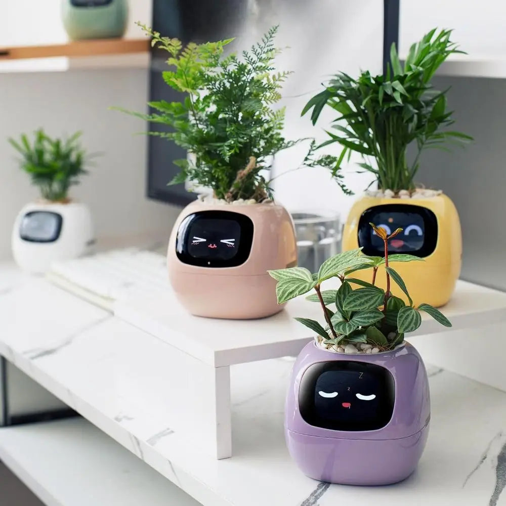 Robot Guidance Smart Plant Pot Interaction Automatic Water