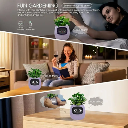 Robot Guidance Smart Plant Pot Interaction Automatic Water