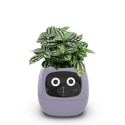 Robot Guidance Smart Plant Pot Interaction Automatic Water