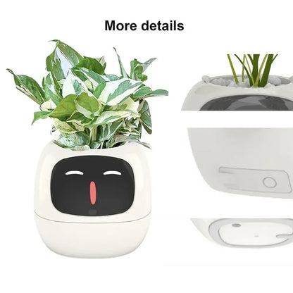 Robot Guidance Smart Plant Pot Interaction Automatic Water