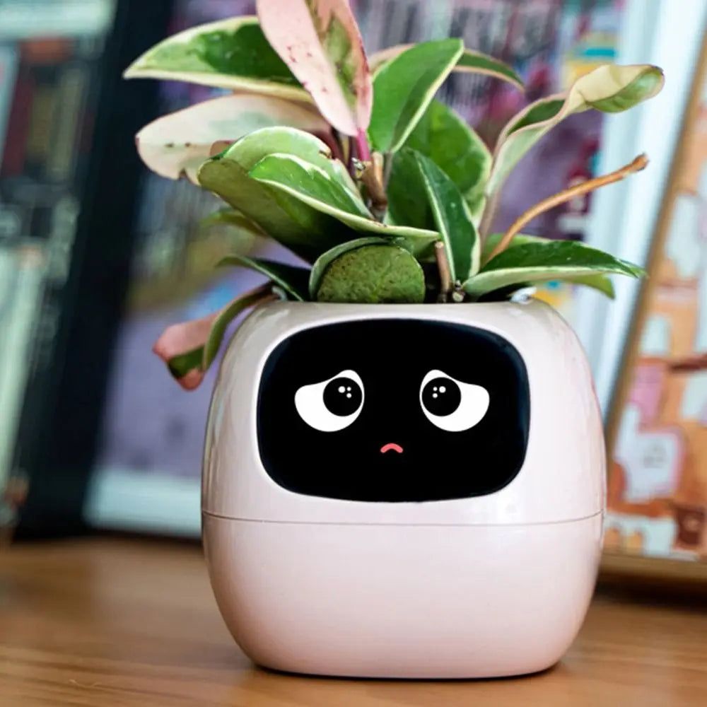 Robot Guidance Smart Plant Pot Interaction Automatic Water