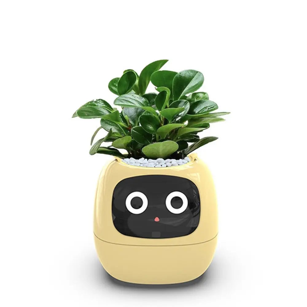 Robot Guidance Smart Plant Pot Interaction Automatic Water