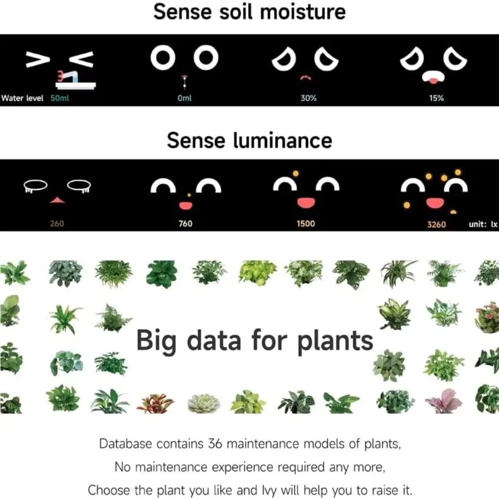 Robot Guidance Smart Plant Pot Interaction Automatic Water