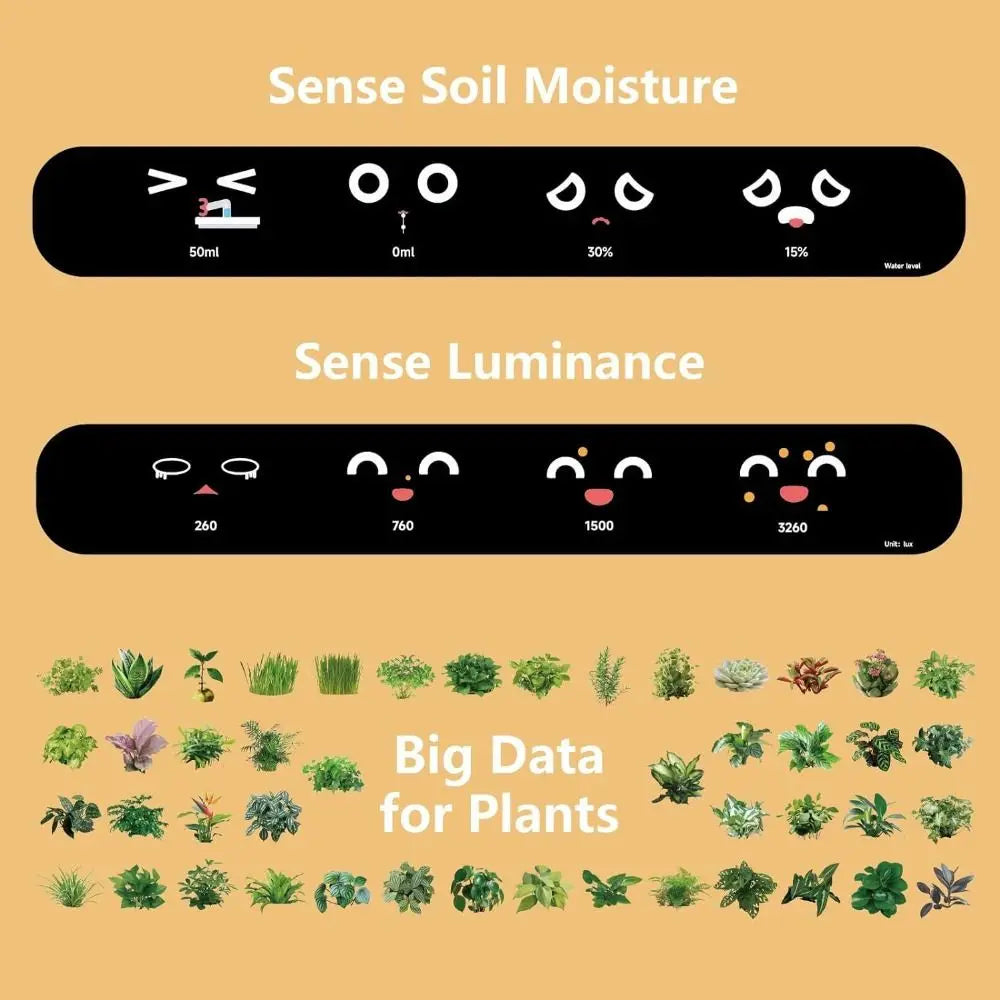 Robot Guidance Smart Plant Pot Interaction Automatic Water