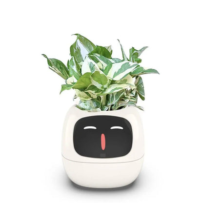 Robot Guidance Smart Plant Pot Interaction Automatic Water